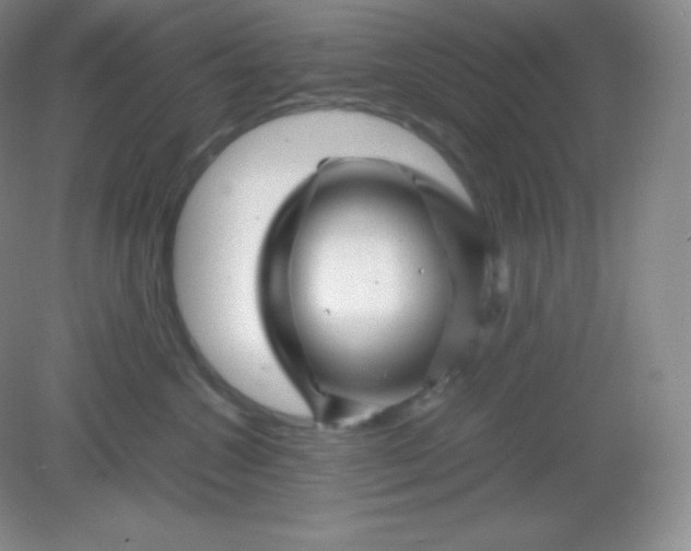 X0000082170572200702021730