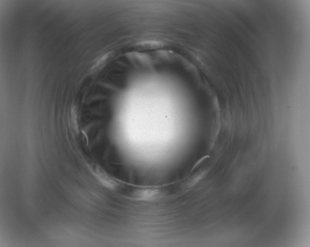 X0000082170575200702021730