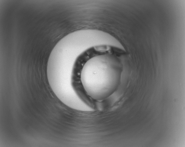 X0000082170576200702021730