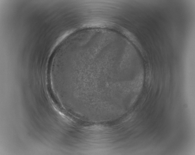 X0000082170578200702021729