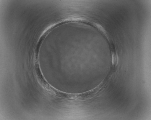 X0000082170579200702021729