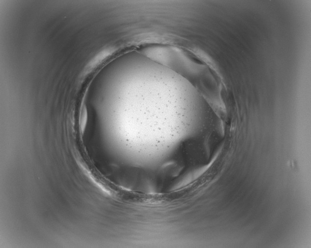 X0000082170581200702021729