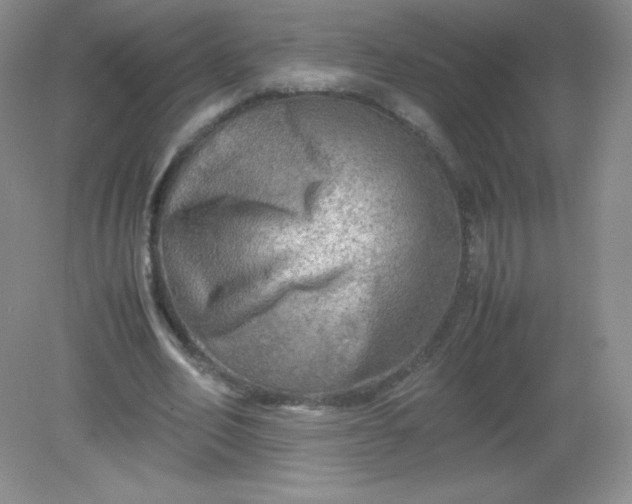 X0000082170582200702021729