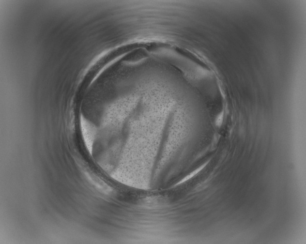 X0000082170584200702021729