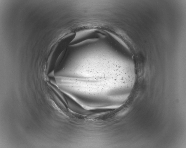 X0000082170585200702021729