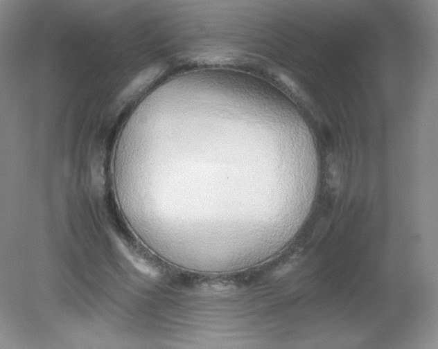 X0000082170586200702021729