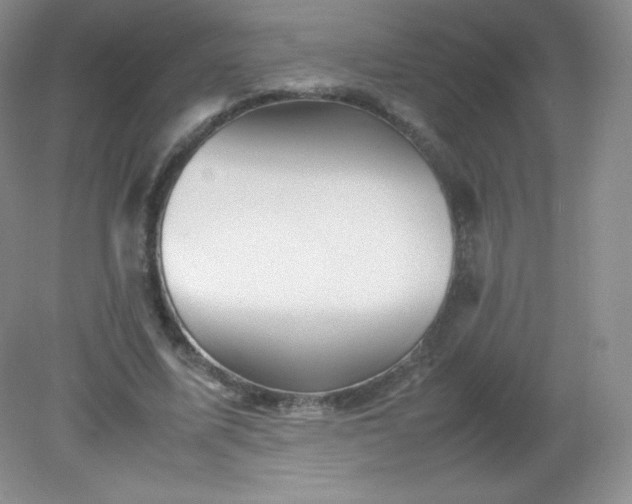 X0000082170587200702021729