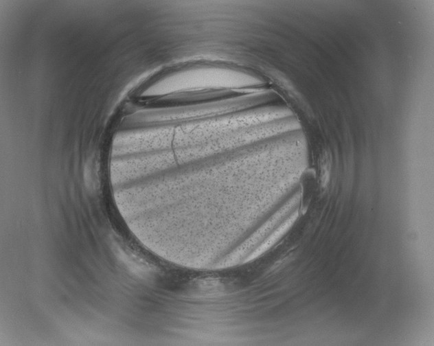 X0000082170588200702021729