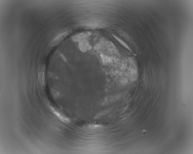 X0000082170590200702021729