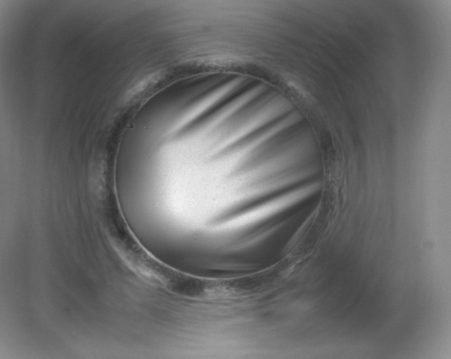 X0000082170591200702021729