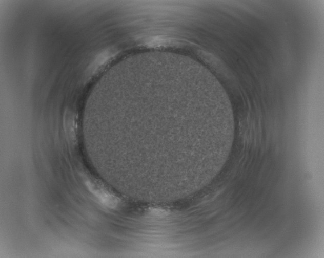 X0000082170592200702021729