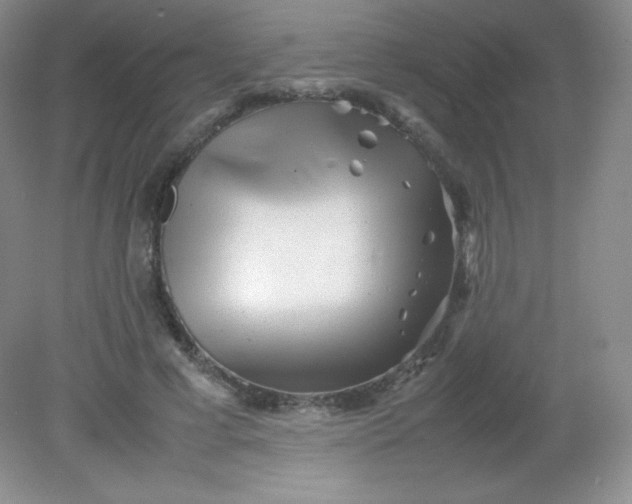 X0000082170593200702021729