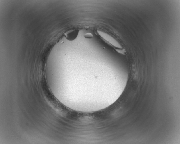 X0000082170594200702021729