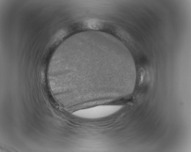 X0000082170595200702021729