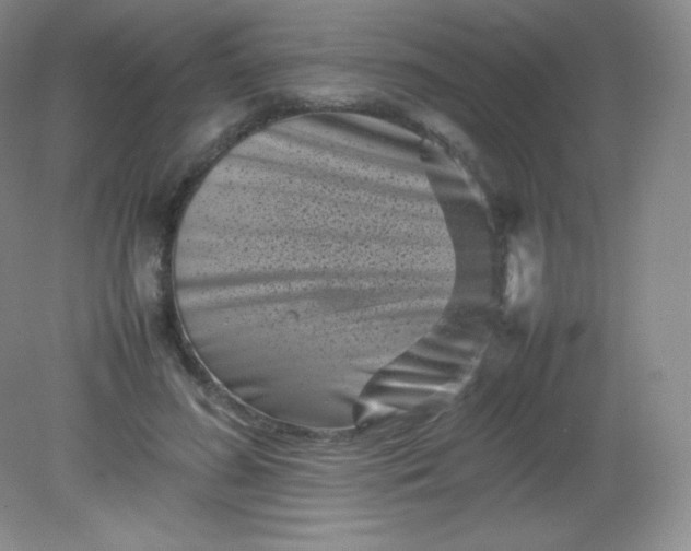 X0000082170596200702021728