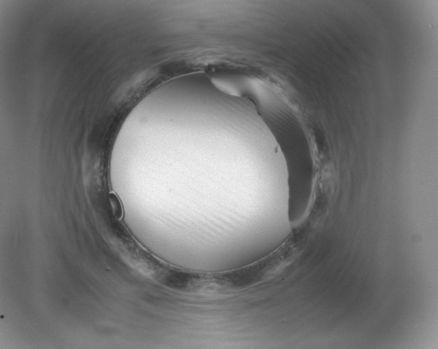 X0000082170597200702021728