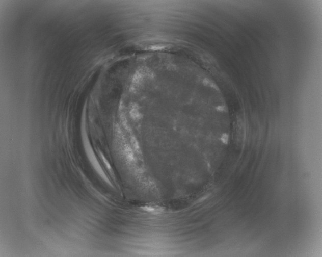 X0000082170598200702021728