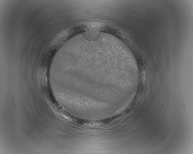 X0000082170599200702021728