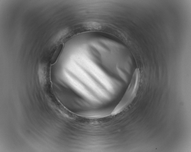 X0000082170600200702021728