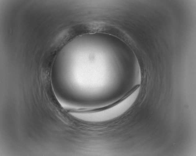 X0000082170601200702021728