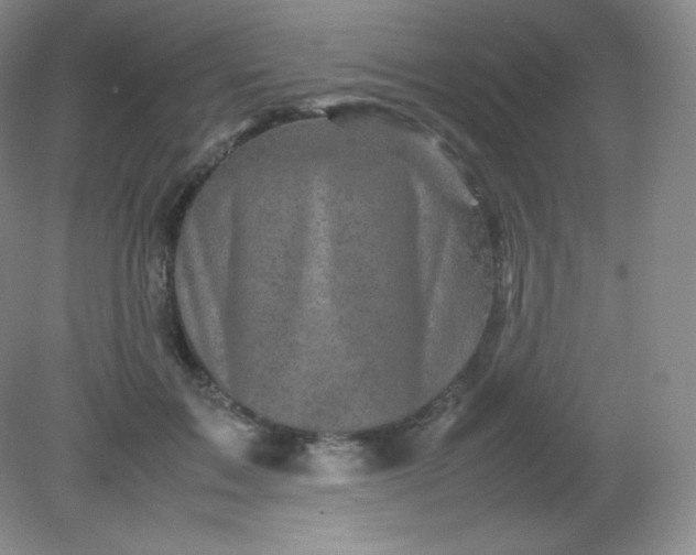 X0000082170603200702021728