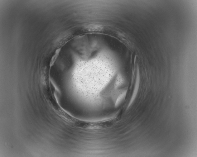 X0000082170604200702021728