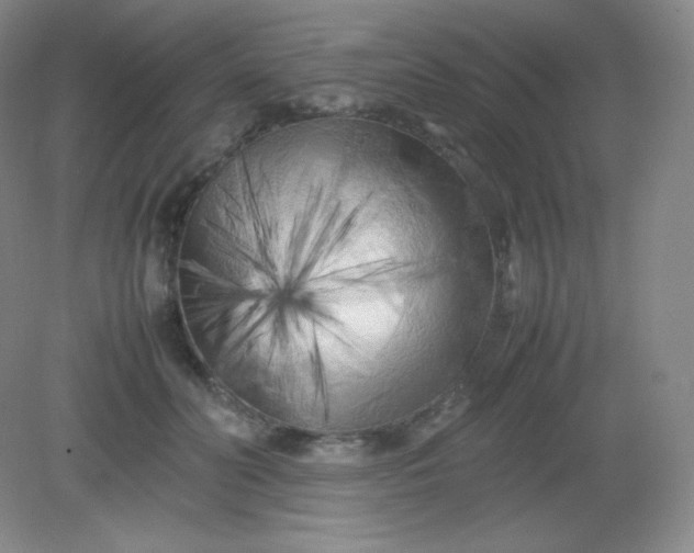 X0000082170606200702021728