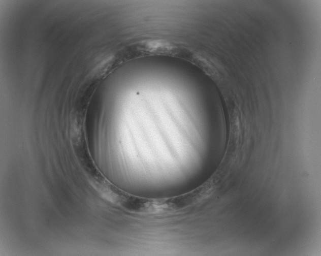 X0000082170607200702021728