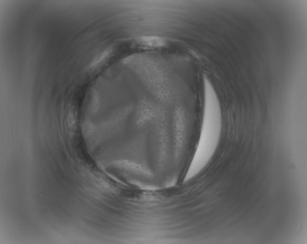 X0000082170608200702021728