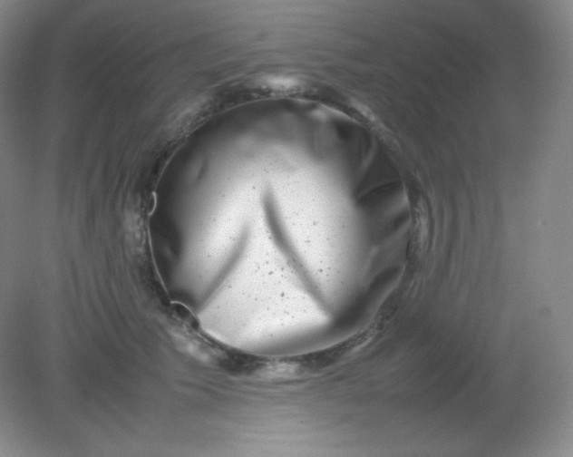 X0000082170609200702021728