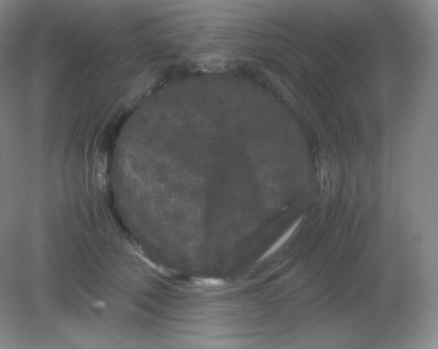 X0000082170610200702021728