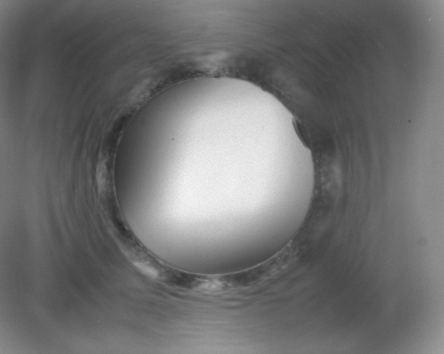 X0000082170611200702021728