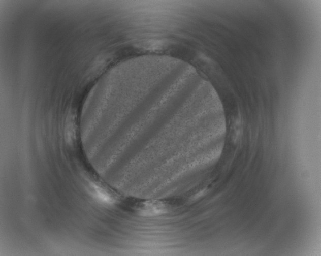 X0000082170612200702021728