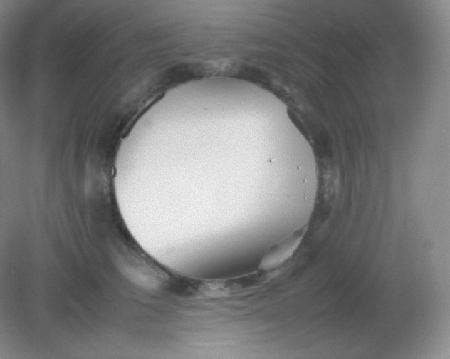 X0000082170613200702021728