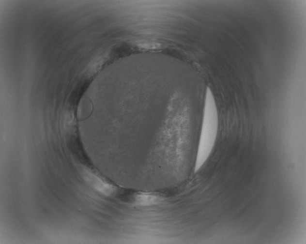 X0000082170614200702021728