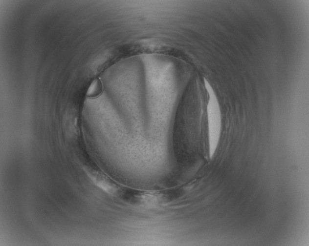 X0000082170615200702021728