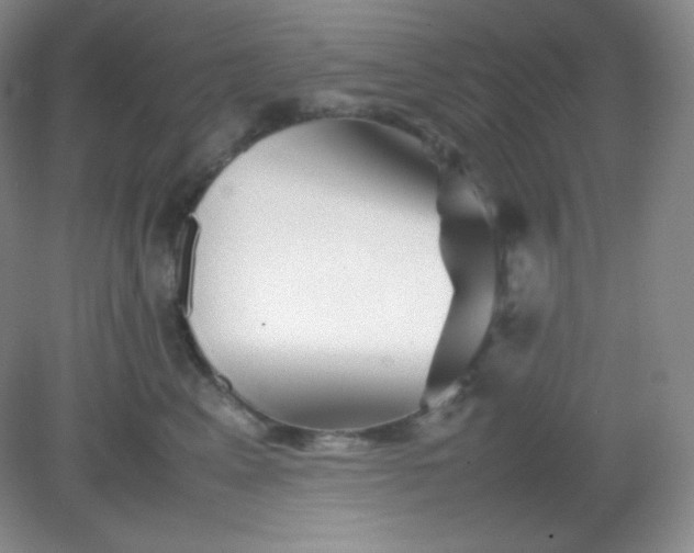 X0000082170617200702021728