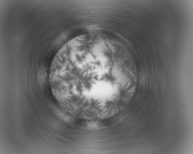 X0000082170618200702021728