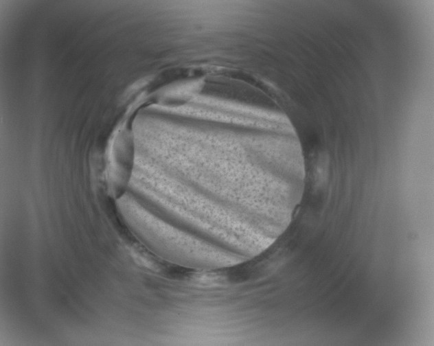 X0000082170619200702021728