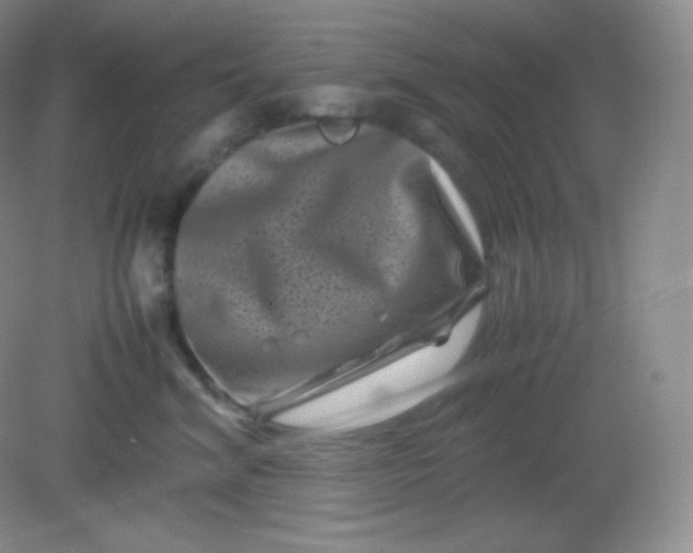 X0000082170620200702021728