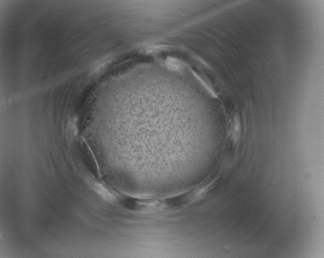 X0000082170621200702021728