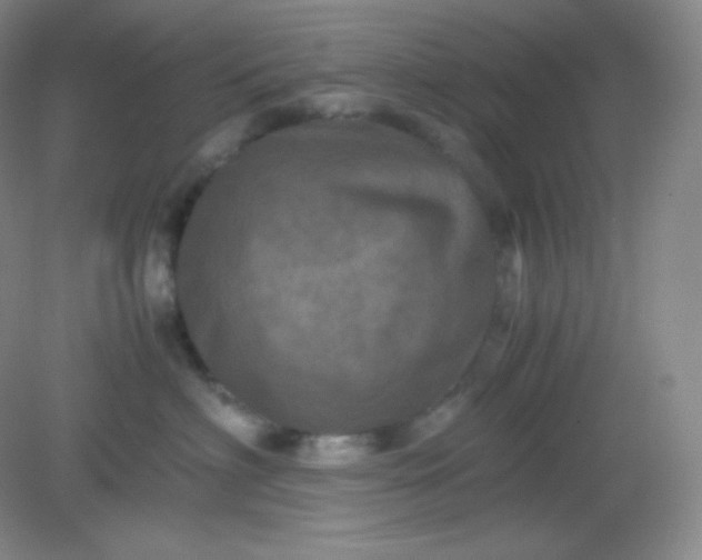 X0000082170622200702021728