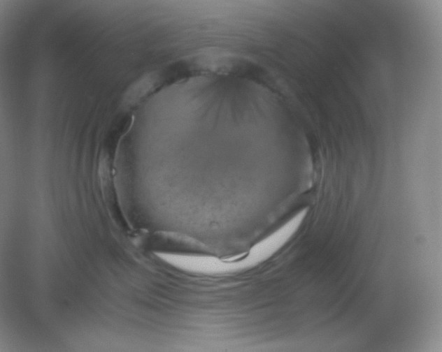 X0000082170623200702021728