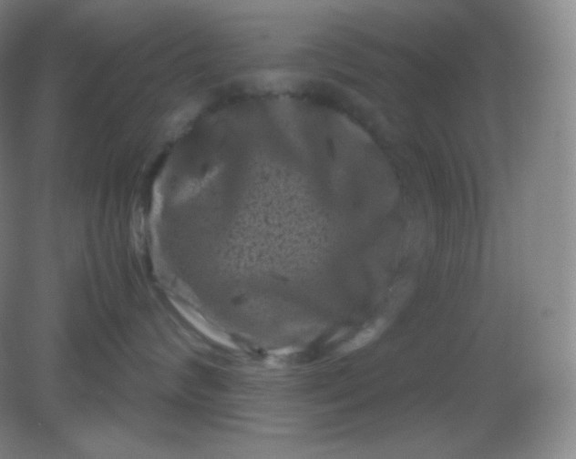 X0000082170624200702021728