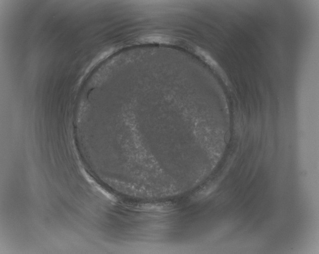 X0000082170625200702021727