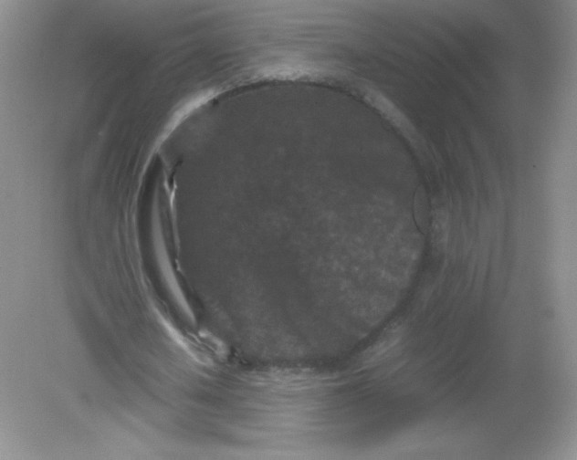 X0000082170626200702021727