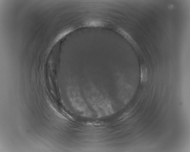 X0000082170627200702021727