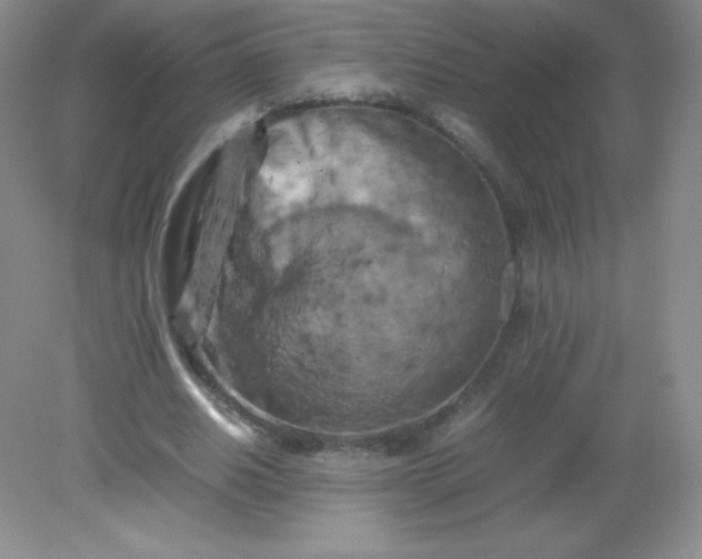 X0000082170630200702021727