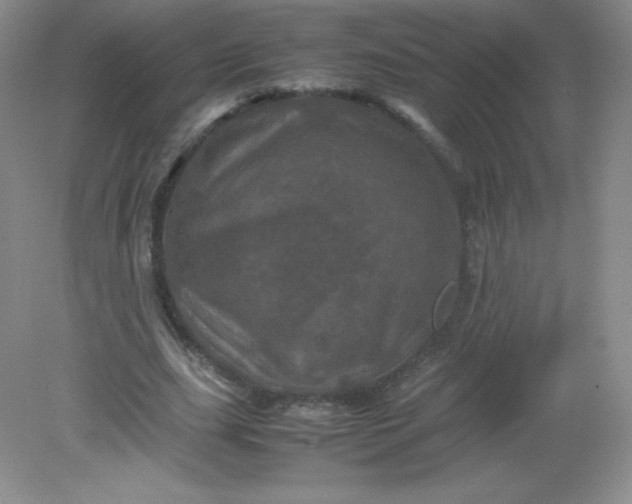 X0000082170631200702021727