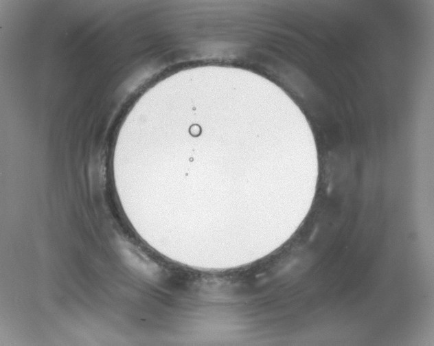 X0000082170632200702021727